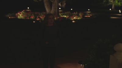 520.jpg