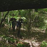 205.jpg
