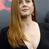 271.jpg