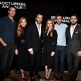 Filename=076.jpg
Filesize=534KiB
Dimensions=2500x1980
Date added=Aug 25, 2024 076.jpg