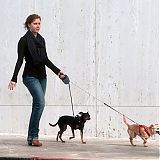 Filename=004.jpg
Filesize=100KiB
Dimensions=1024x746
Date added=Dec 18, 2022 004.jpg