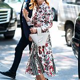 Filename=017.jpg
Filesize=996KiB
Dimensions=2000x3000
Date added=Nov 24, 2022 017.jpg