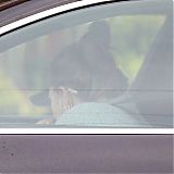 Filename=035.jpg
Filesize=1185KiB
Dimensions=3217x2142
Date added=Jan 14, 2023 035.jpg
