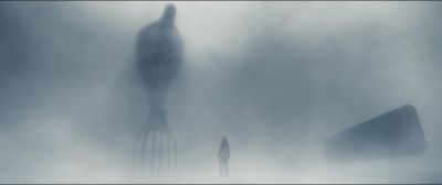 2383.jpg