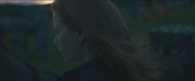 2901.jpg