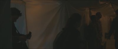 547.jpg