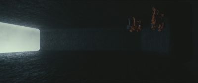 837.jpg