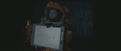 981.jpg