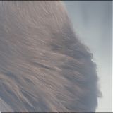 Filename=2373.jpg
Filesize=71KiB
Dimensions=1920x808
Date added=Jan 12, 2024 2373.jpg