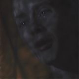 446.jpg