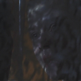 447.jpg