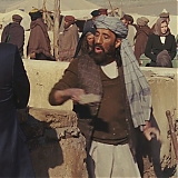 203.jpg