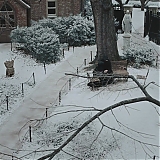 Filename=2411.jpg
Filesize=374KiB
Dimensions=1920x1040
Date added=Dec 14, 2024 2411.jpg