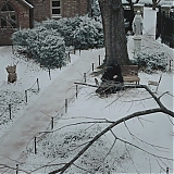 Filename=2412.jpg
Filesize=377KiB
Dimensions=1920x1040
Date added=Dec 14, 2024 2412.jpg