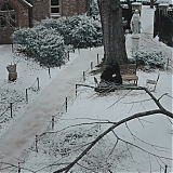 Filename=2413.jpg
Filesize=379KiB
Dimensions=1920x1040
Date added=Dec 14, 2024 2413.jpg