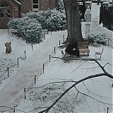 Filename=2414.jpg
Filesize=376KiB
Dimensions=1920x1040
Date added=Dec 14, 2024 2414.jpg