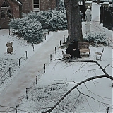 Filename=2415.jpg
Filesize=383KiB
Dimensions=1920x1040
Date added=Dec 14, 2024 2415.jpg