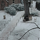 Filename=2417.jpg
Filesize=387KiB
Dimensions=1920x1040
Date added=Dec 14, 2024 2417.jpg