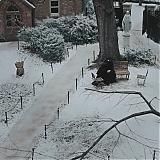 Filename=2418.jpg
Filesize=390KiB
Dimensions=1920x1040
Date added=Dec 14, 2024 2418.jpg