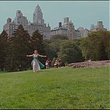 1037.jpg