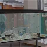 Filename=786.jpg
Filesize=182KiB
Dimensions=1920x824
Date added=Jan 30, 2023 786.jpg
