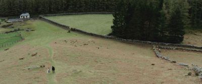 1141.jpg