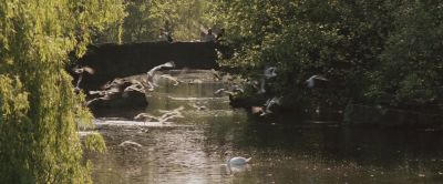 2374.jpg