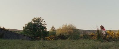 870.jpg
