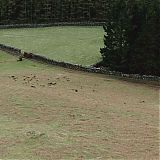 Filename=1142.jpg
Filesize=289KiB
Dimensions=1920x800
Date added=Jul 23, 2023 1142.jpg