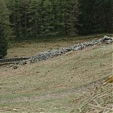 1195.jpg