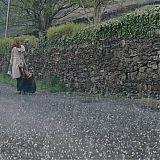 1978.jpg