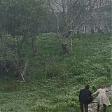 1991.jpg