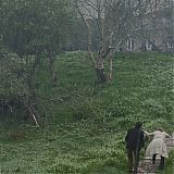 1992.jpg