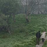 1993.jpg