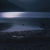 Filename=2247.jpg
Filesize=151KiB
Dimensions=1920x800
Date added=Jul 23, 2023 2247.jpg