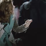 361.jpg
