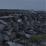 417.jpg