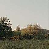 Filename=870.jpg
Filesize=188KiB
Dimensions=1920x800
Date added=Jul 23, 2023 870.jpg