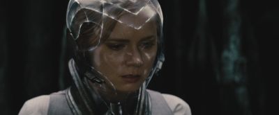 447.jpg