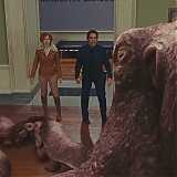 187.jpg