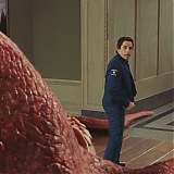 205.jpg