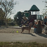 Filename=AABR798.jpg
Filesize=314KiB
Dimensions=1920x804
Date added=Jul 06, 2025 AABR798.jpg
