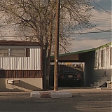 596.jpg