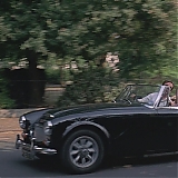 428.jpg