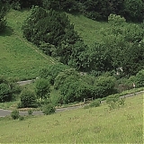434.jpg