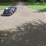645.jpg