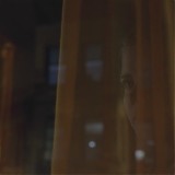 Filename=767.jpg
Filesize=50KiB
Dimensions=1920x800
Date added=Jan 24, 2025 767.jpg