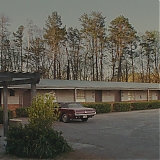 1335.jpg