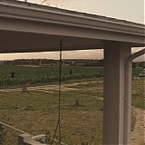473.jpg