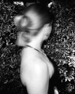 005.jpg